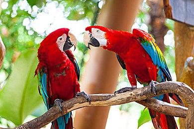 《怪物猎人：荒野》高分辨率贴图包至少需要16G显存